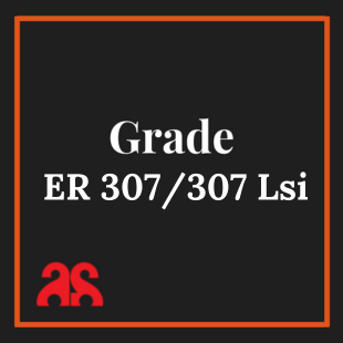 ER 307/ER 307LSi